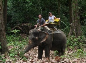 Brooke & Cody ride an elephant in Krabi, Thailand