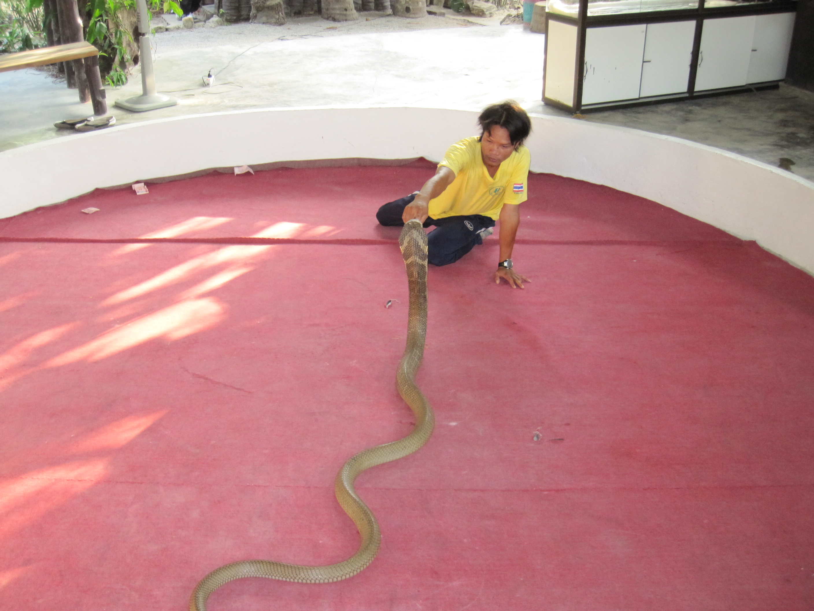 Ao Nang Snake Show